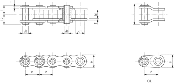 ANSI Single Pitch SS HP Chain